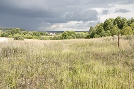 Участок 20 сот. (ИЖС)